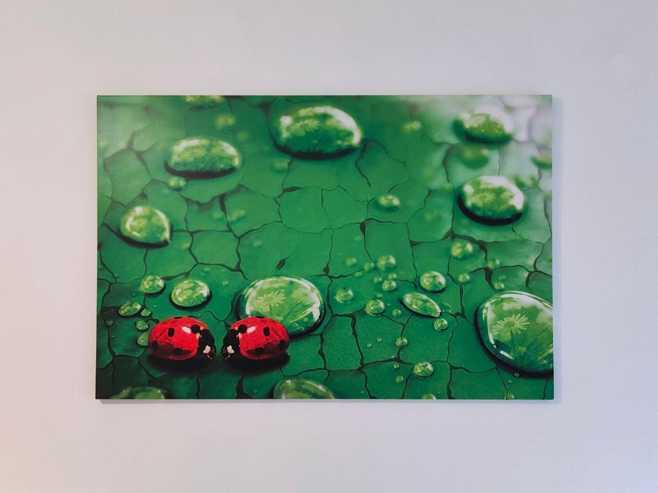 La Coccinella Di Susa Pergine Valsugana Exterior foto